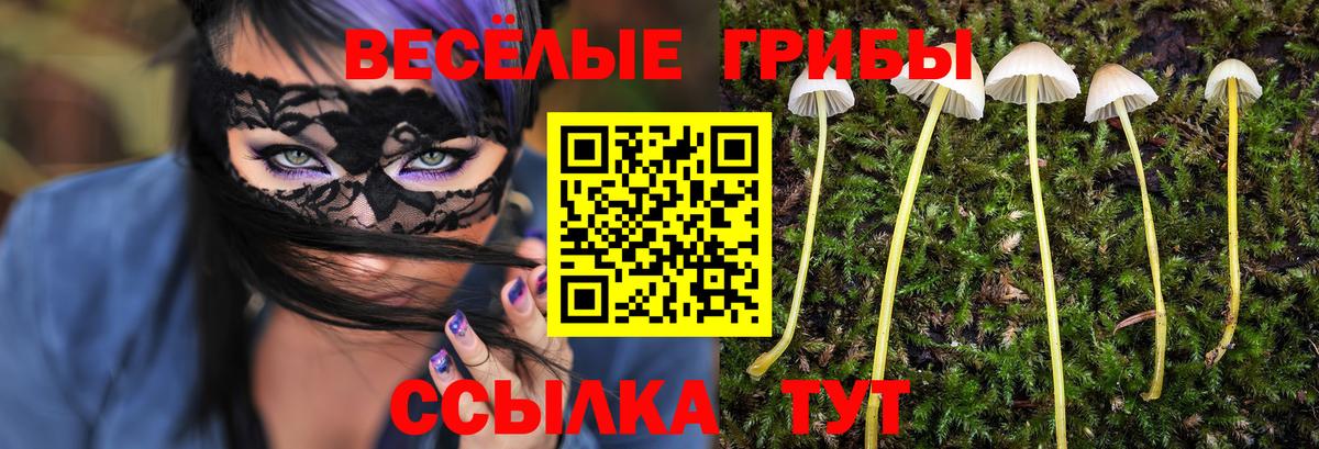 Галлюциногенные грибы Psilocybe  Галлюциногенные грибы Psilocybine cubensis  Вход с VPN  Нерюнгри 